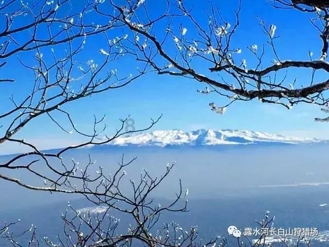 执业药师证兼职