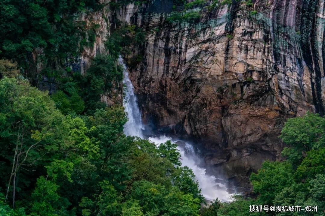 CBA的钱有多好赚？场均5分却拿了顶薪合同，混日子四年终于被裁掉