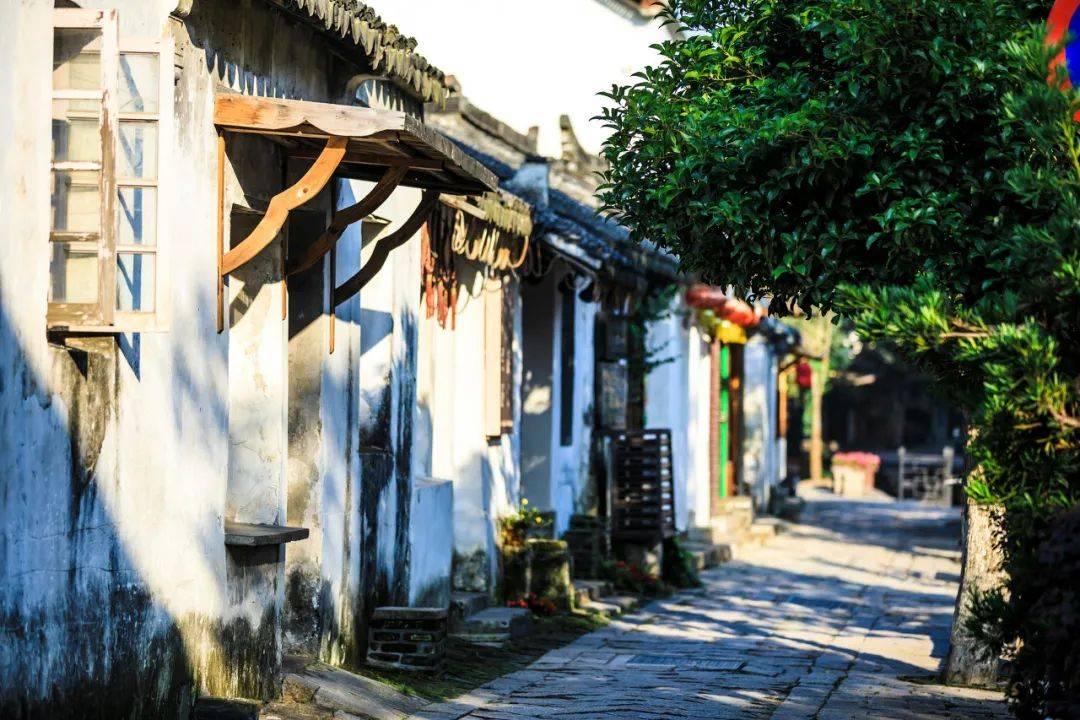 梦见一堆死人红迪网 - 精彩内容尽在这里